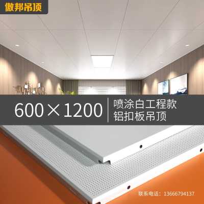 傲邦吊顶_600*1200喷涂白工程板